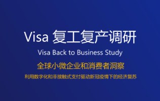 Visa_2020
